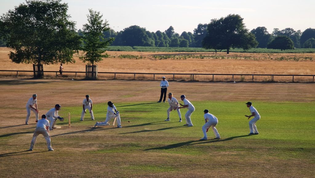 Hampton wick royal cricket club